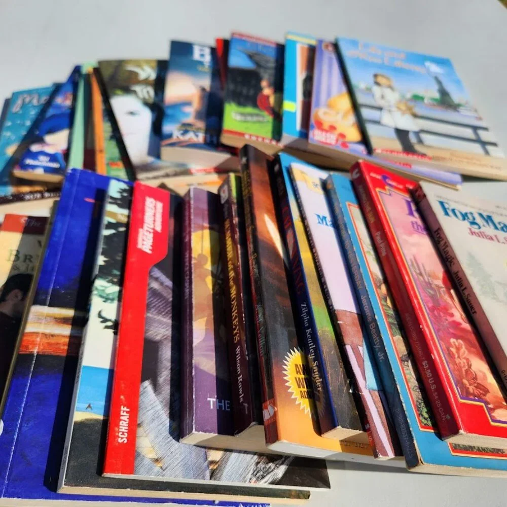 4 Book Bundle Lot Set Chapter Books Young Adult Literature Novels Mystery Books
